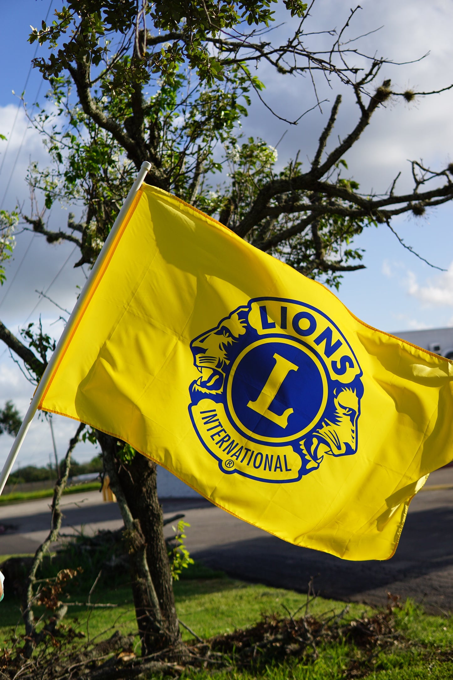 Lions Club 3' x 5' Standard Flag